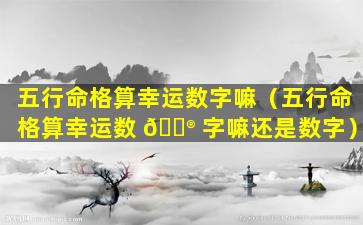 五行命格算幸运数字嘛（五行命格算幸运数 💮 字嘛还是数字）